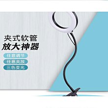 8寸補光燈手機led環形燈主播自拍美顏燈攝影燈 歷史價格詳細信息