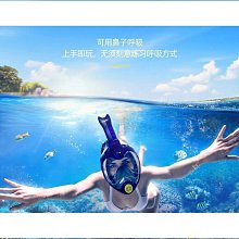 【好康】潛水呼吸器浮潛面罩自由面鏡裝備成人兒童防霧防水眼睛高清 歷史價格詳細信息
