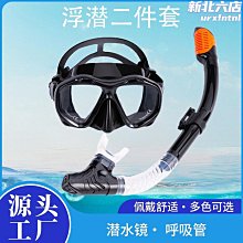 全乾式浮潛面罩 鼻呼吸管面鏡 防霧浮潛面罩 浮潛神器 可架GOPRO 藍色 歷史價格詳細信息