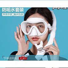 潛水呼器浮潛三寶全式浮潛面罩自由專業成人全臉裝備 歷史價格詳細信息