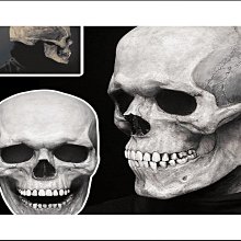 恐龍面具頭套 霸王龍 成人/兒童款 多色可選【福滿來】紙模 DIY手工材料包紙藝面具 派對動物Cos 話劇表演 AKCN 歷史價格詳細信息