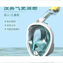 全乾式浮潛面罩 鼻呼吸管面鏡 防霧浮潛面罩 浮潛神器 可架GOPRO 藍色 歷史價格詳細信息