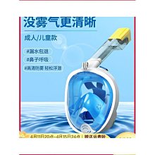 締造浮潛三寶全乾式成人呼吸管面鏡套裝防水防霧高清面罩潛水鏡裝備 歷史價格詳細信息