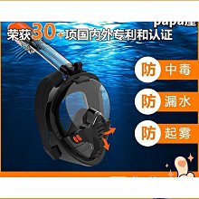 全乾式浮潛面罩 鼻呼吸管面鏡 防霧浮潛面罩 浮潛神器 可架GOPRO 藍色 歷史價格詳細信息
