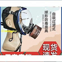 正壓式空氣呼吸器 空呼 空氣呼吸器 6.8L 炭纖維氣瓶 鋼瓶呼吸面 歷史價格詳細信息