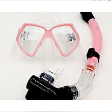 全乾式浮潛面罩 鼻呼吸管面鏡 防霧浮潛面罩 浮潛神器 可架GOPRO 藍色 歷史價格詳細信息