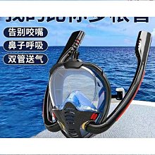 全乾式浮潛面罩 鼻呼吸管面鏡 防霧浮潛面罩 浮潛神器 可架GOPRO 藍色 歷史價格詳細信息