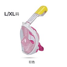 可呼吸性結晶型二氧化矽粉塵之採樣方法探討 ILOSH110-A704 勞動部勞動及職業安全衛生研究所 五南文化 政府出版 歷史價格詳細信息