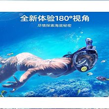 可呼吸性結晶型二氧化矽粉塵之採樣方法探討 ILOSH110-A704 勞動部勞動及職業安全衛生研究所 五南文化 政府出版 歷史價格詳細信息