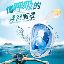 【夢兒】泳衣女兩件式夏季防曬保守泳褲2023新款大尺碼胖mm潛水服長袖套裝 歷史價格詳細信息