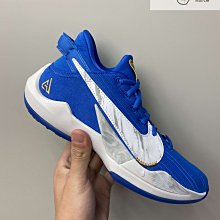 NIKE 女 FREAK 2 (GS) 籃球鞋 避震 包覆 黑灰白 字母哥 希臘怪物 - CW3227101 歷史價格詳細信息