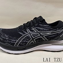 Asics GEL-Kayano 29 2E [1011B470-002] 男 慢跑鞋 運動 寬楦 路跑 緩震 黑白 歷史價格詳細信息