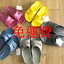 免運☆BCU5568☆母子鱷魚.馬拉松鐵人最愛.極推薦超跑丫拖Y拖四代跟上來勁速跑鞋ㄚ拖.慢跑拖.有五色.現貨 歷史價格詳細信息