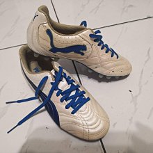 24.5CM鑷子【醫康生活家】 歷史價格詳細信息