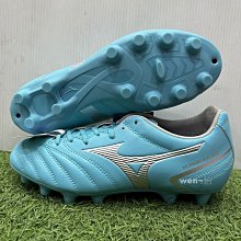 *wen~怡 美津濃 23下 WAVE RIDER GTX 女慢跑鞋 防水戶外(J1GD227922)現貨特價 先詢問 歷史價格詳細信息