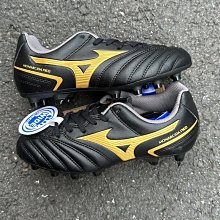 *wen~怡 美津濃 23下 WAVE RIDER GTX 女慢跑鞋 防水戶外(J1GD227922)現貨特價 先詢問 歷史價格詳細信息