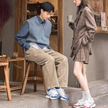 NEW BALANCE 跑步鞋 慢跑鞋 男 白藍 M860F13-4E 現貨 歷史價格詳細信息