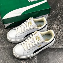 Puma 休閒鞋 Basket Gum XXI 白 金標 皮革 膠底 小白鞋 女鞋【ACS】 38121101 歷史價格詳細信息
