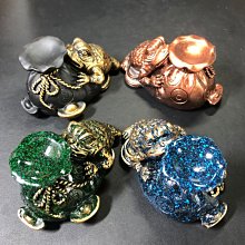 【飾品】時尚白珠 項鍊 手鍊 耳環 組 新娘 伴娘造型拍照裝飾 新祕 攝影公司造型部 歷史價格詳細信息