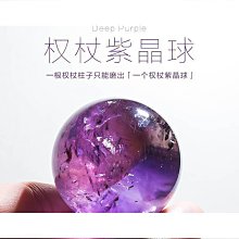 【熱賣】球花石斛蘭帶花苞濃香型室內盆栽大花型鼓槌金釵鐵皮石斛花卉綠植 歷史價格詳細信息