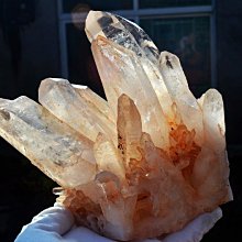 【生活家原料館】天然小麥木醣(清潔)起泡劑(ECOCERT/COSMOS認證)有效成分40%【0.5KG】 歷史價格詳細信息