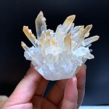 件鈦擺動刀片擺動式多功能鋸片工具配件適用於木材硬質材料和金屬切割 510 歷史價格詳細信息