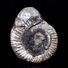 七龍珠球水晶球7件龍珠球套裝中號龍珠水晶球手辦帶黑盒 1-7星黑盒套裝 歷史價格詳細信息