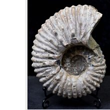 13排手撥彈珠台。  &mdash;拍2台3000,不用再組裝'直接可玩 歷史價格詳細信息