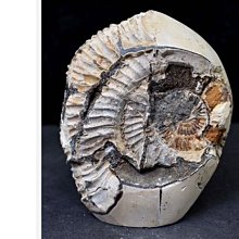 七龍珠球水晶球7件龍珠球套裝中號龍珠水晶球手辦帶黑盒 1-7星黑盒套裝 歷史價格詳細信息