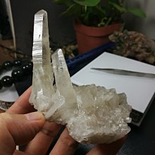 天然水晶晶簇雙拼色帶窩窩尺寸5.5*8送黑檀木底座帶國 水晶 天然 收藏【二手】【探古齋】-646 歷史價格詳細信息