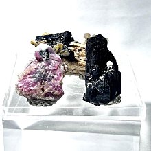 (組合) 米亞搖蓋垃圾桶6L 2入組 歷史價格詳細信息