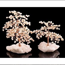 天空樹蝶形瀏海假髮片女頭頂蓬鬆增髮量真髮全真人發遮白髮補發片 歷史價格詳細信息