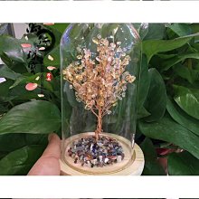 【卡盧索】天然佛珠馬達加斯加粉晶手串粉水晶三圈手鍊晶體佛鏈精美飾品 歷史價格詳細信息