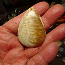 七彩虹 藍寶石顯卡7750 1g顯卡，拆 歷史價格詳細信息