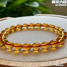 火爆巴西木 擺件盆栽   幸運木 防輻射  驅蚊  凈化空氣 家居辦公室桌面裝飾擺件【滿350出貨】 歷史價格詳細信息