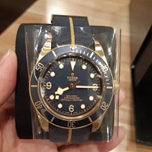 TUDOR 帝舵 79230R HERITAGE BLACK BAY 新款紅水鬼-41mm 歷史價格詳細信息
