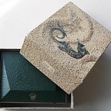 ROLEX 勞力士70s末~80s 藍標 原廠吊牌 歷史價格詳細信息