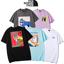 新款北面/THE NORTH FACE Hedgehog 男款戶外防水高筒登山徒步鞋 歷史價格詳細信息