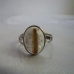 [ 廣緣 ] A貨  巴西滿絲鈦金墬子   **可議價** 歷史價格詳細信息