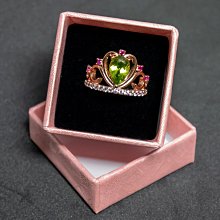 愛尚新款小號三桿中東TC棉速開鋼絲船帳 歷史價格詳細信息