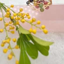 3月誕生石~海底有機寶石~天然紅珊瑚蛋面四爪鑲戒指 5.8*9.9 925銀活圍戒托 (原枝無拚染) (隨機出貨) 歷史價格詳細信息