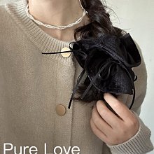 絲絨髮圈黑色2023新款大圈金絲絨髮圈女高級感頭花頭飾高端髮圈 歷史價格詳細信息