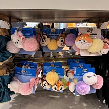 日本迪士尼樂園奇奇蒂蒂絨毛造型鏡子 歷史價格詳細信息