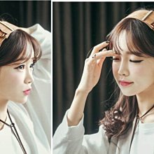 來福髮辮，H531假髮辮水鑽手編麻花辮假髮片魚骨辮造型辮子，售價128元 歷史價格詳細信息