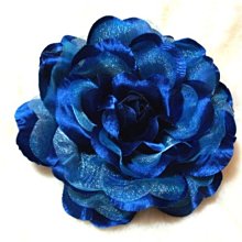 B. & W. world ***美美的花飾*R13068*青春漾彩頭花~*銀白時尚*~多款 歷史價格詳細信息