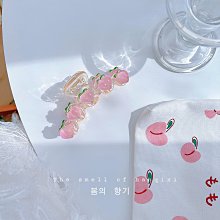 小眾設計感抓夾大號磨砂高級感髮夾女2023新款後腦勺秋髮飾鯊魚夾 歷史價格詳細信息