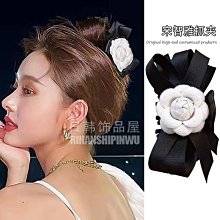 下殺-同款發燒級無氧銅音響線專業音箱線喇叭線音頻線51環繞散線連接線喇叭線 歷史價格詳細信息