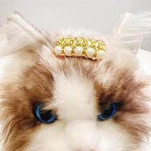 新款雪納瑞狗狗掛飾 包包吊飾 行李箱掛牌 PU 立體卡通動物造型掛飾禮品 歷史價格詳細信息