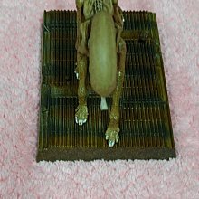 2F 櫃上 ： ジャンゴ・フェット  JANGO FETT 賞金獵人 強格 費特 　富貴玩具店 歷史價格詳細信息