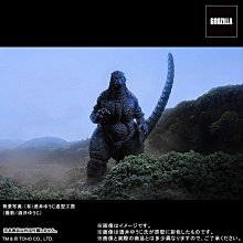 現貨.30cm 中空反光板 金銀反光板 可折疊柔光板 適用單反相機 歷史價格詳細信息